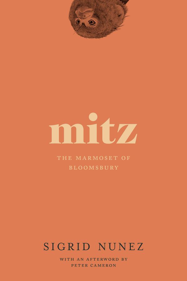 Mitz Book Cover