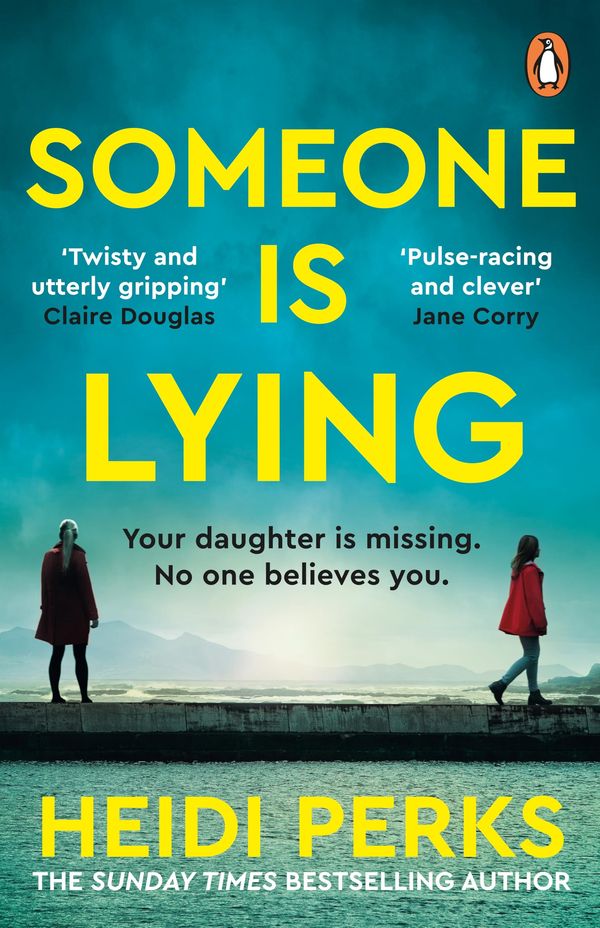 Someone is Lying. Book Cover