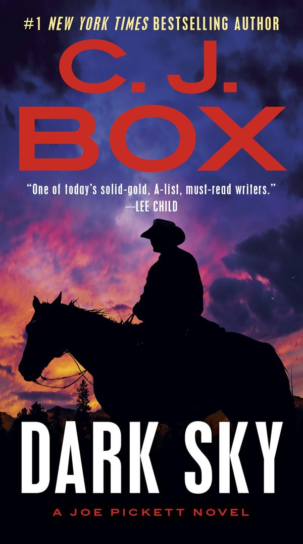 Dark Sky Book Cover
