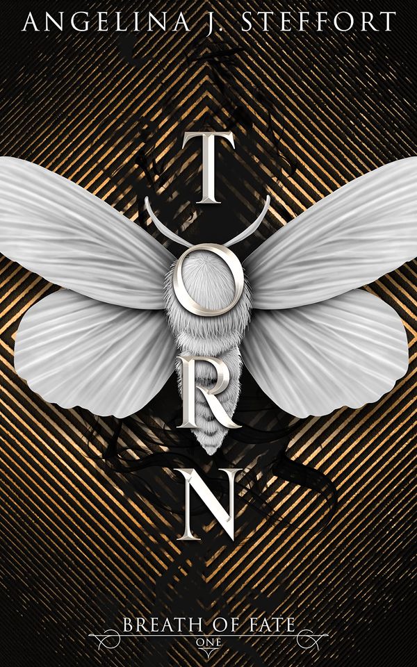 Torn Book Cover