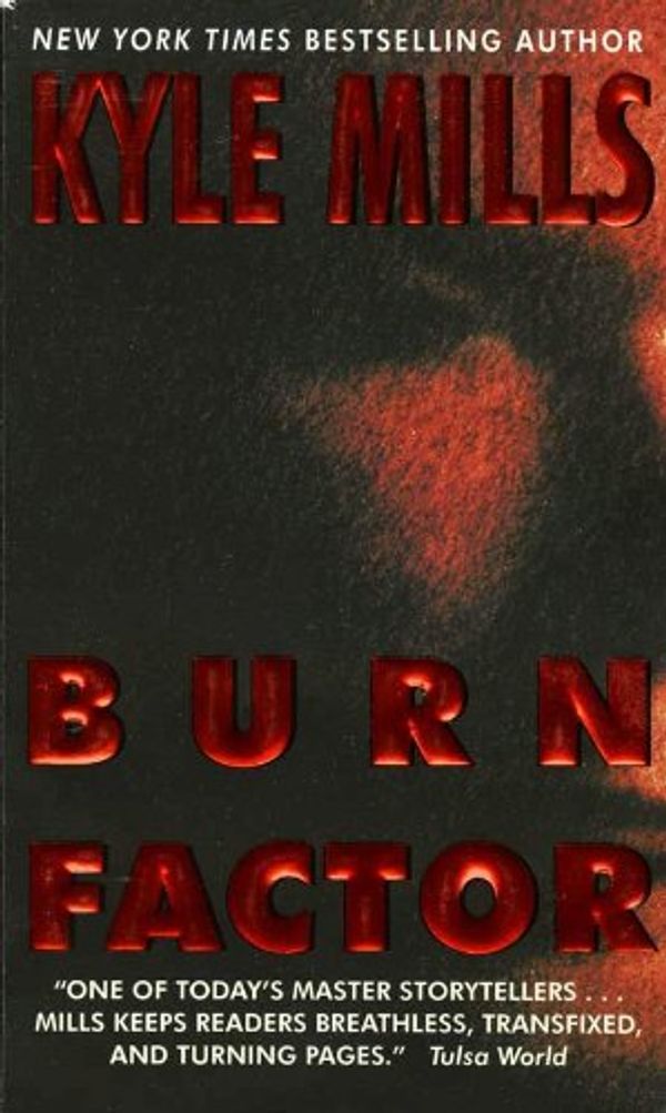 Burn Factor Book Cover