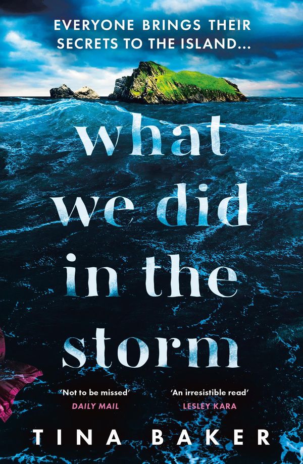 What We Did In The Storm Book Cover
