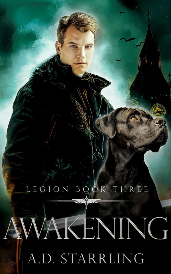 Awakening cover