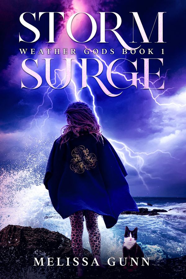 Storm Surge cover