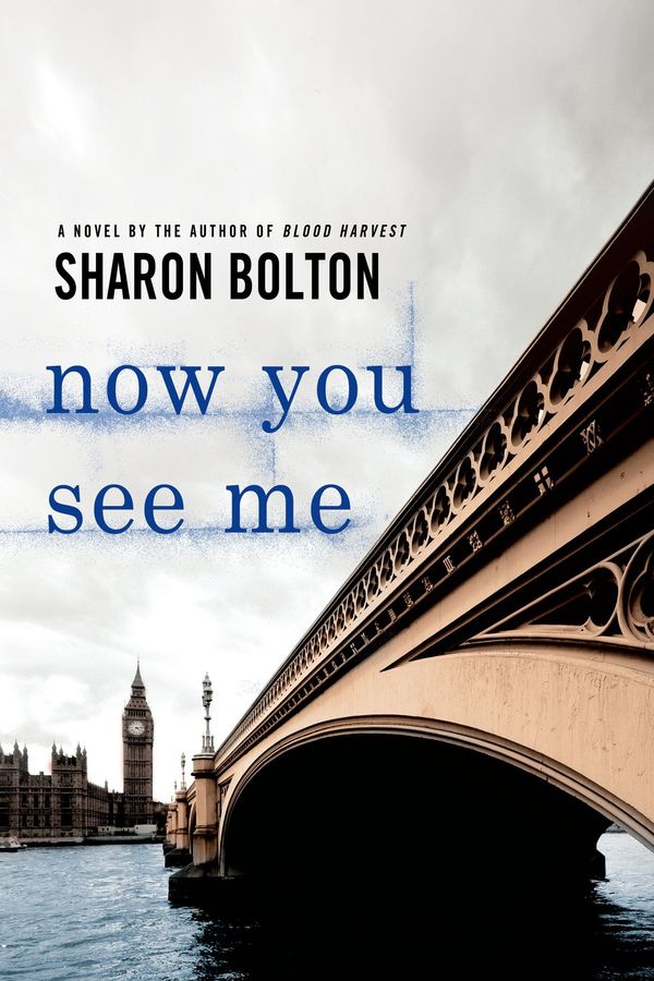 Now You See Me Book Cover
