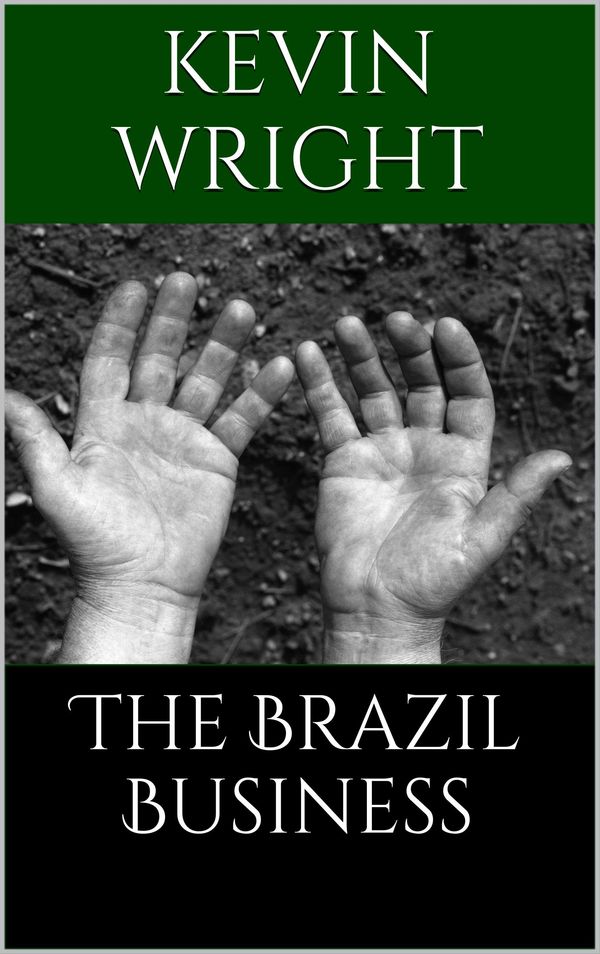 The Brazil Business Book Cover