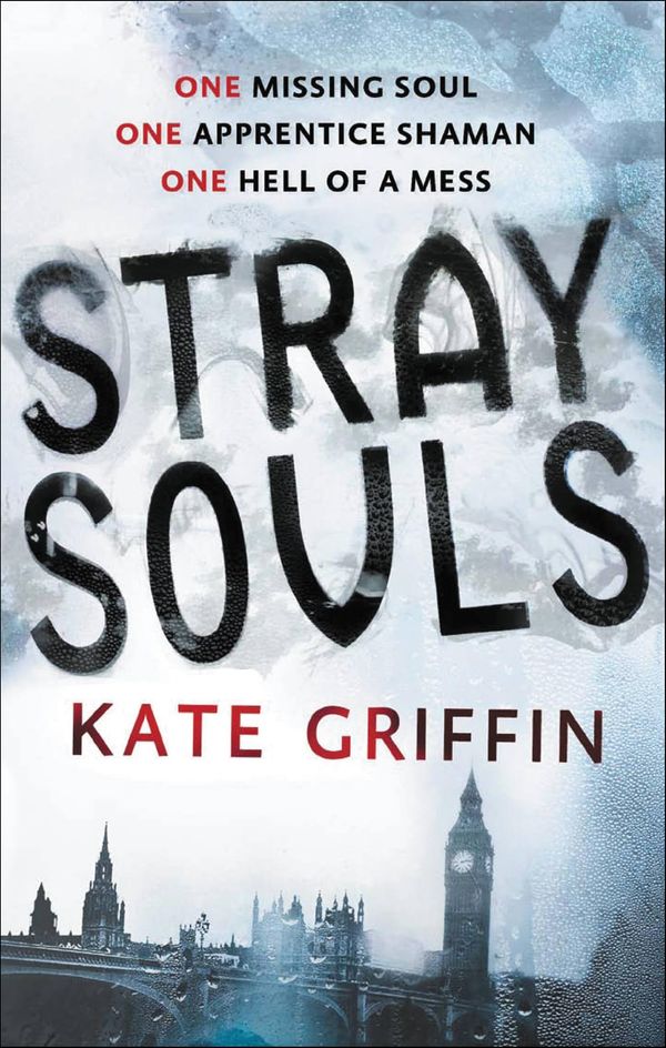 Stray Souls cover