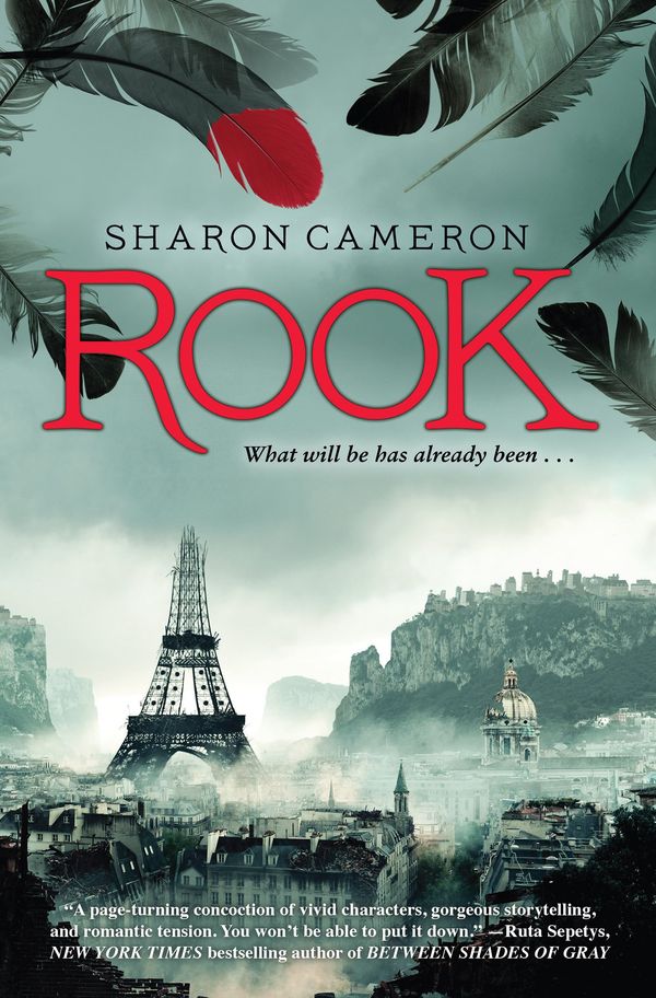 Rook Book Cover