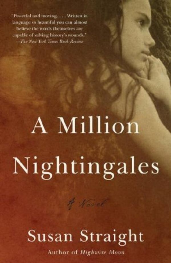 A Million Nightingales Book Cover
