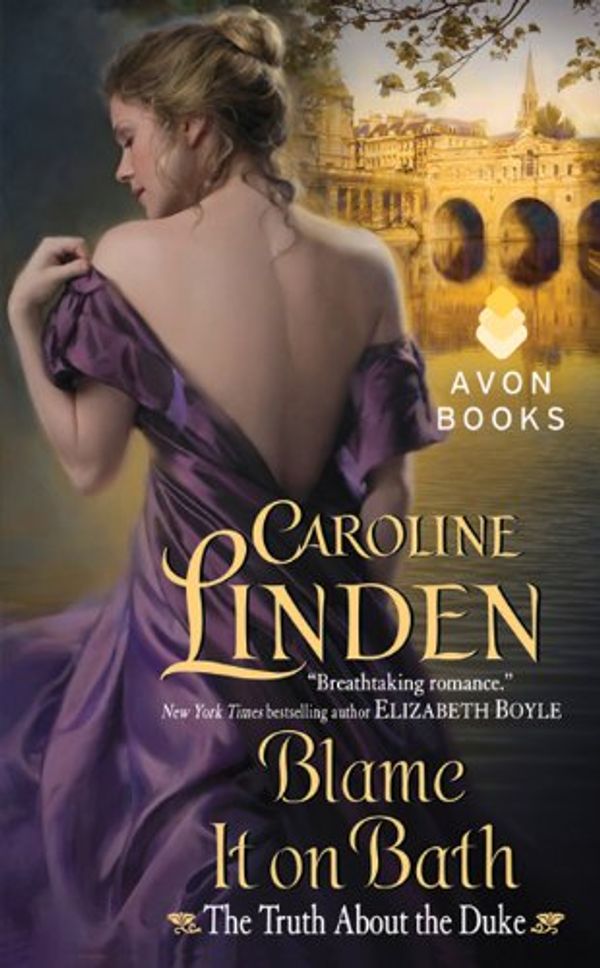 Blame It on Bath cover