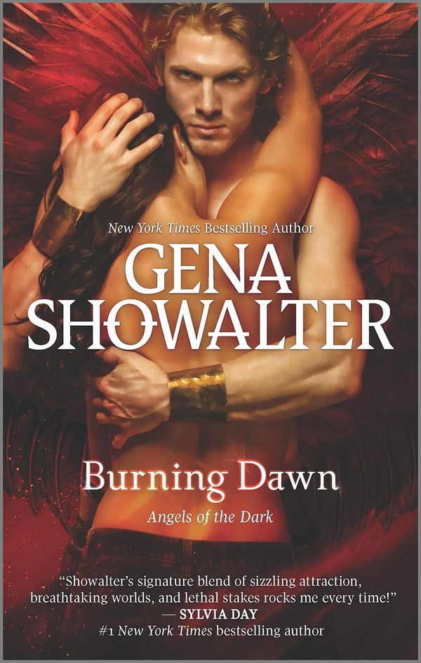 Burning Dawn cover