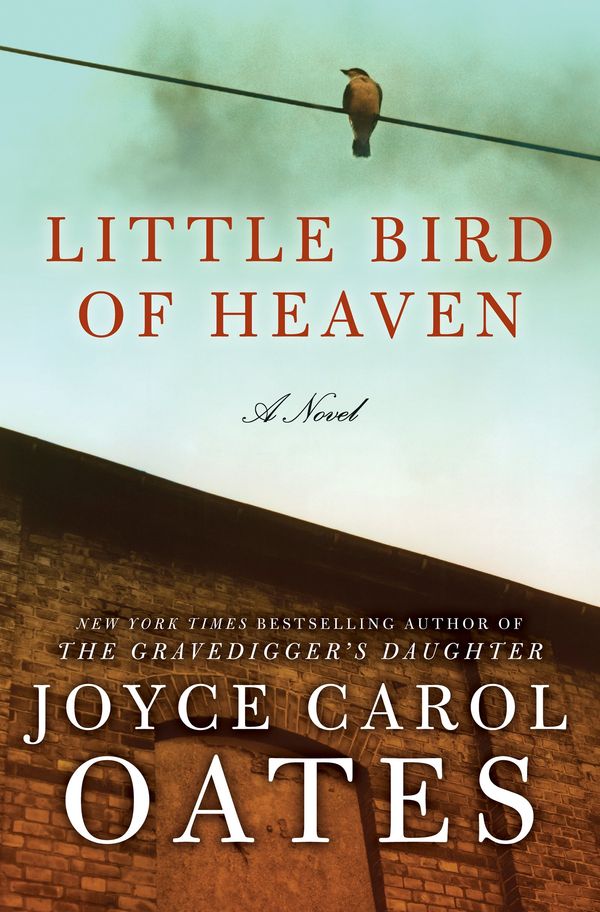 Little Bird of Heaven Book Cover