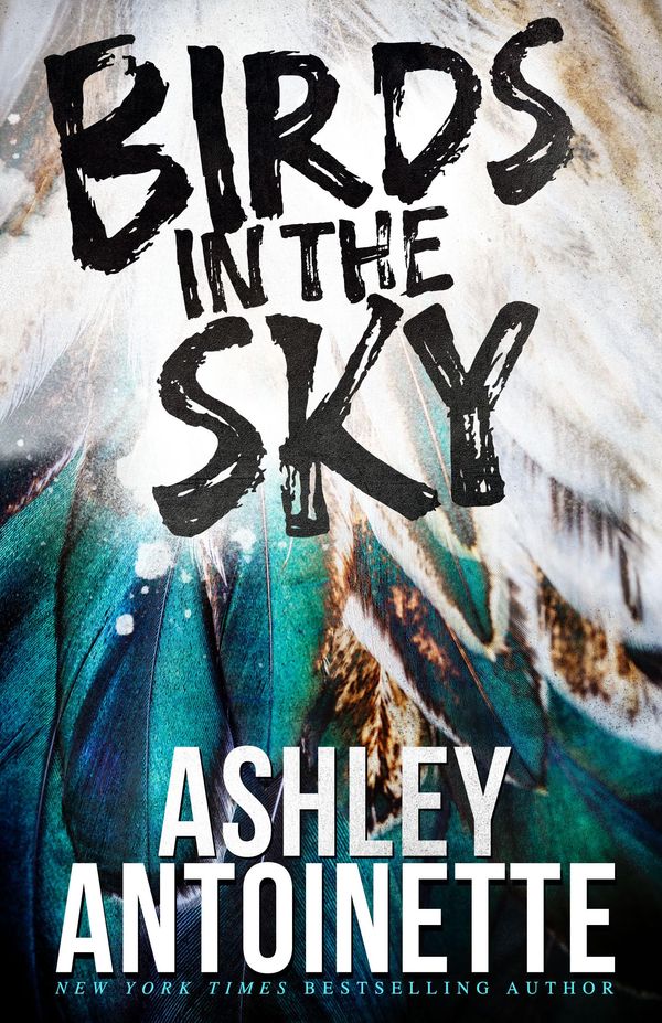 Birds in the Sky Book Cover