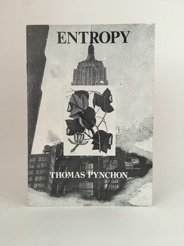 Entropy Book Cover