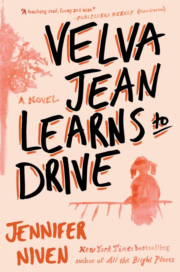 Velva Jean Learns to Drive Book Cover