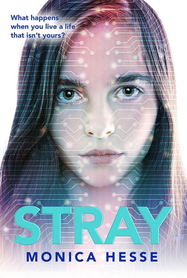 Stray cover