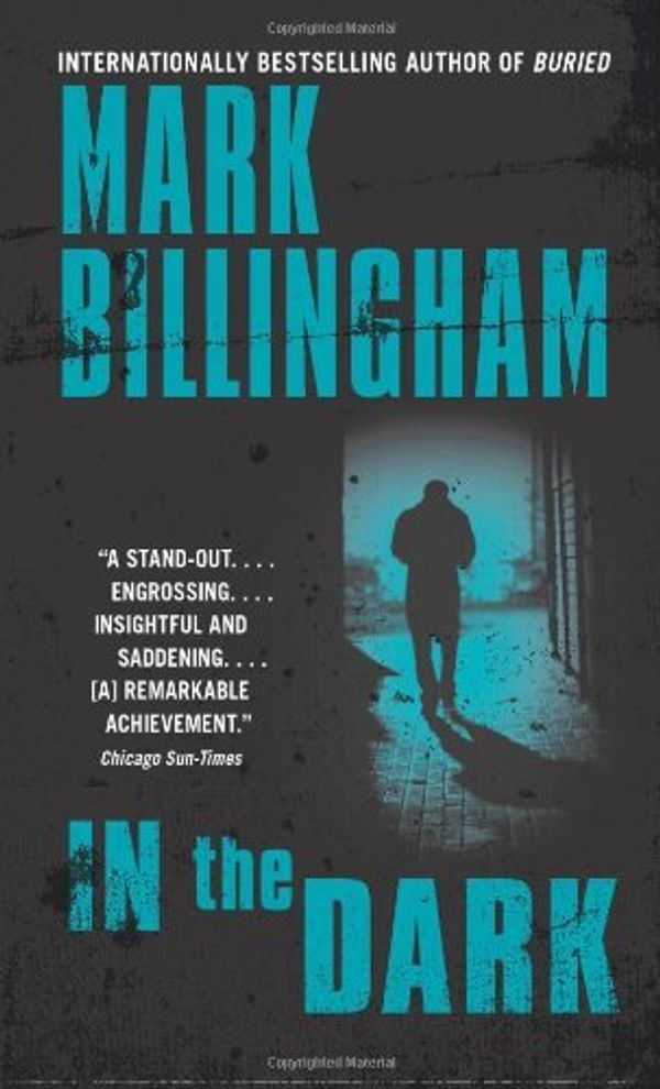 In the Dark Book Cover