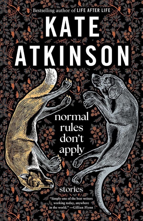 Normal Rules Don't Apply: Stories Book Cover