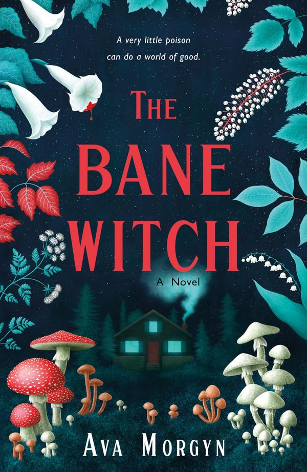 The Bane Witch Book Cover