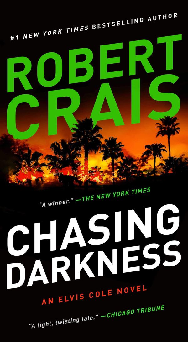 Chasing Darkness Book Cover