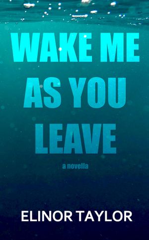 Wake Me as You Leave