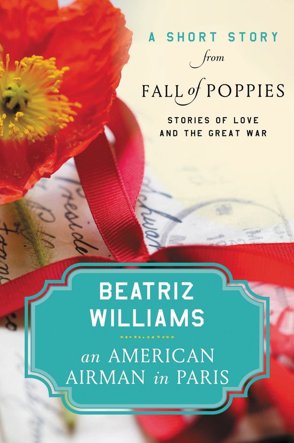 An American Airman in Paris Book Cover