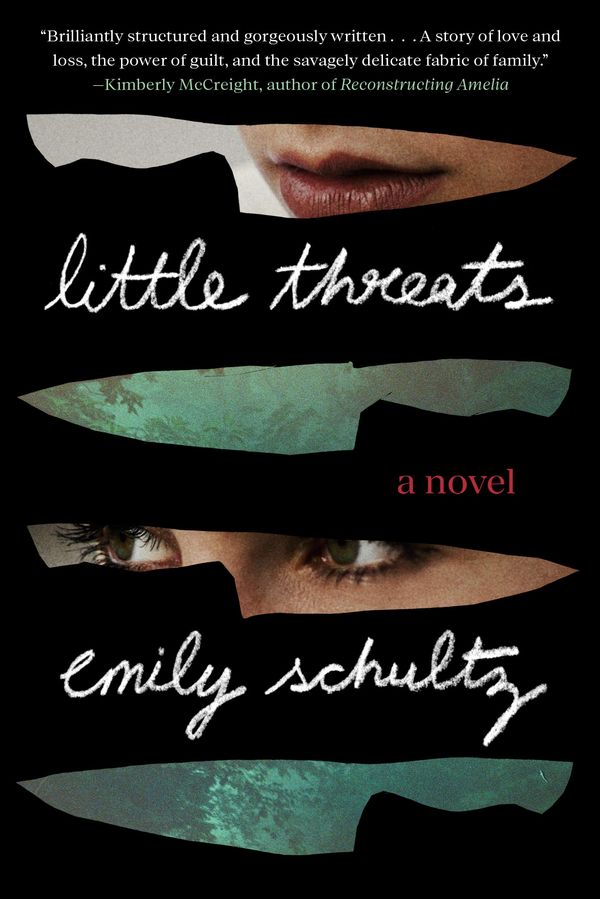 Little Threats Book Cover