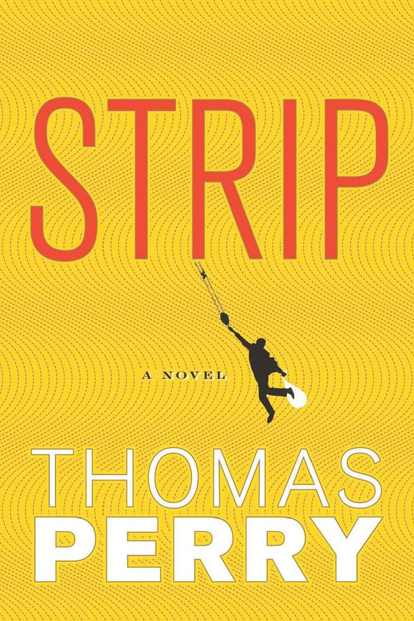 Strip Book Cover