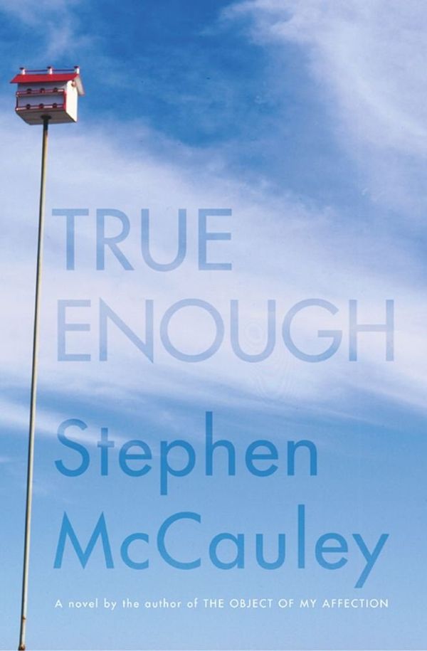 True Enough Book Cover