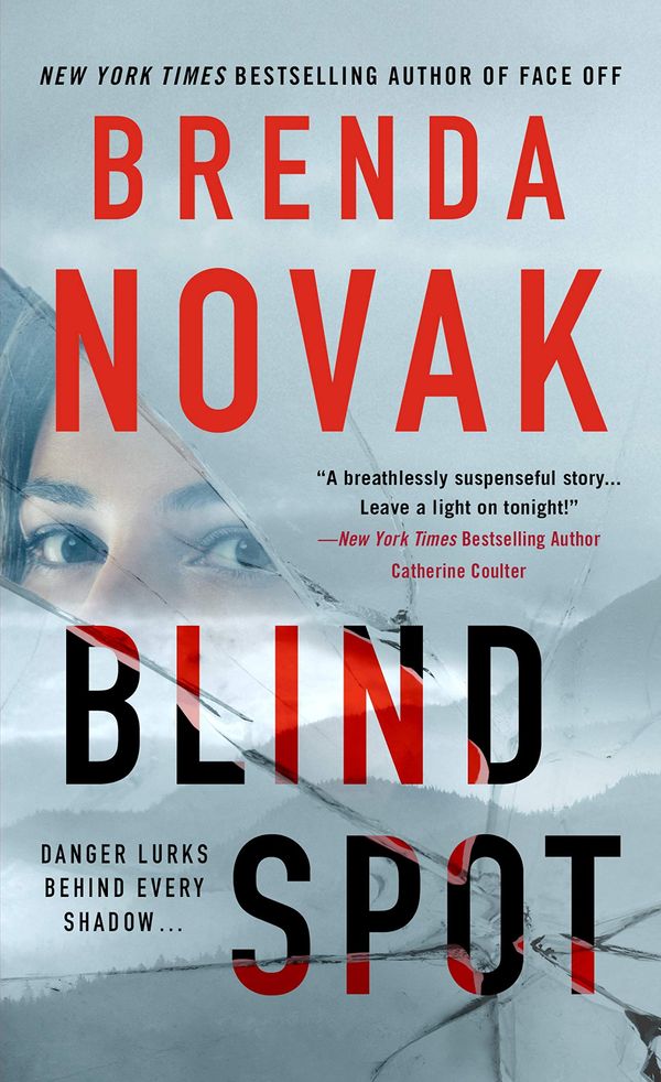 Blind Spot Book Cover