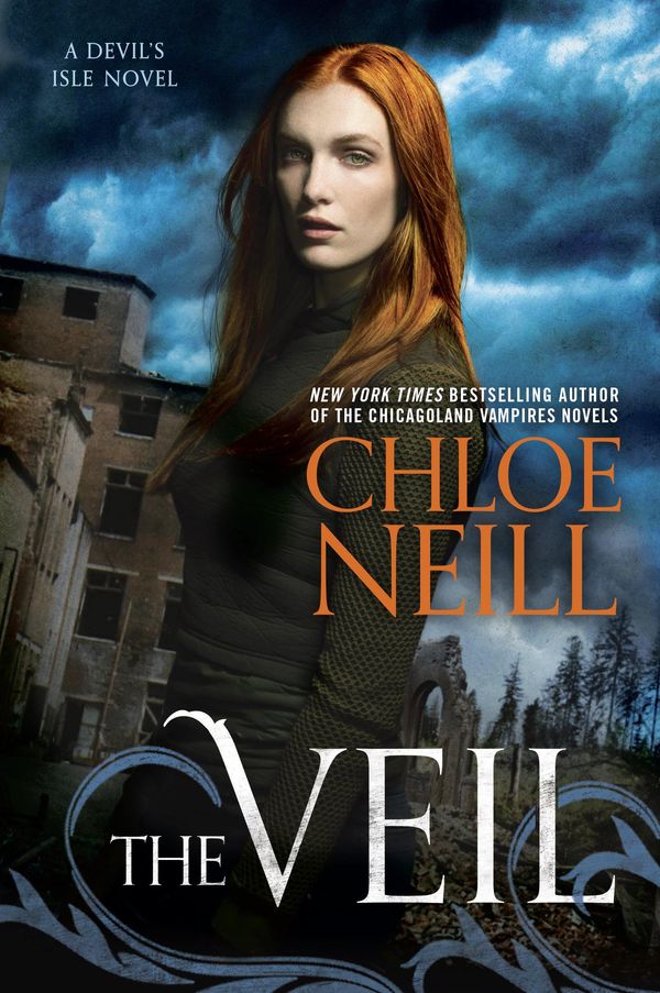 The Veil Book Cover