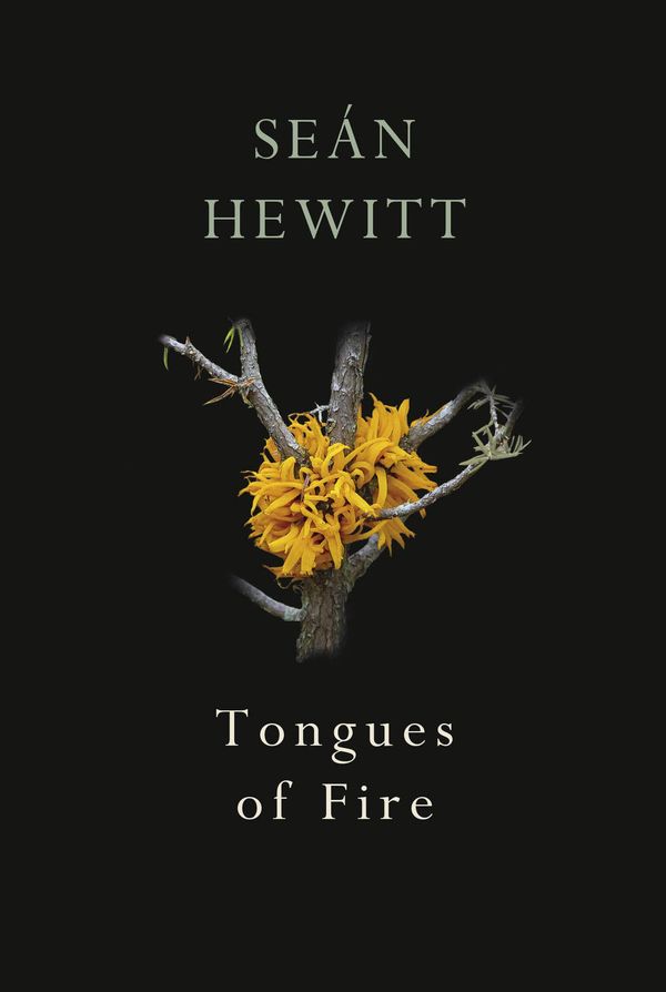 Tongues of Fire Book Cover