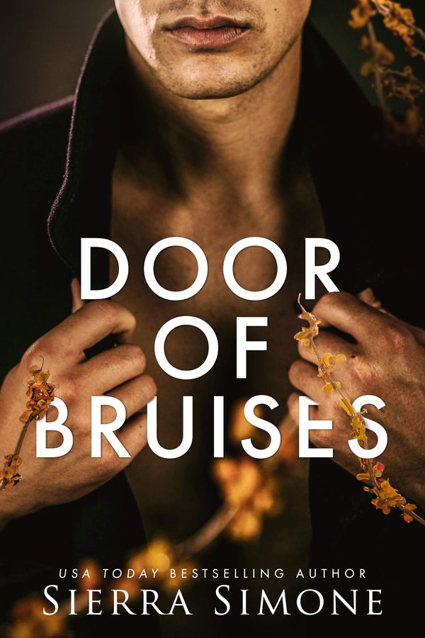 Door of Bruises Book Cover