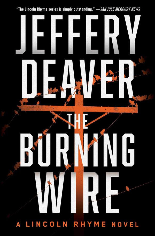 The Burning Wire Book Cover