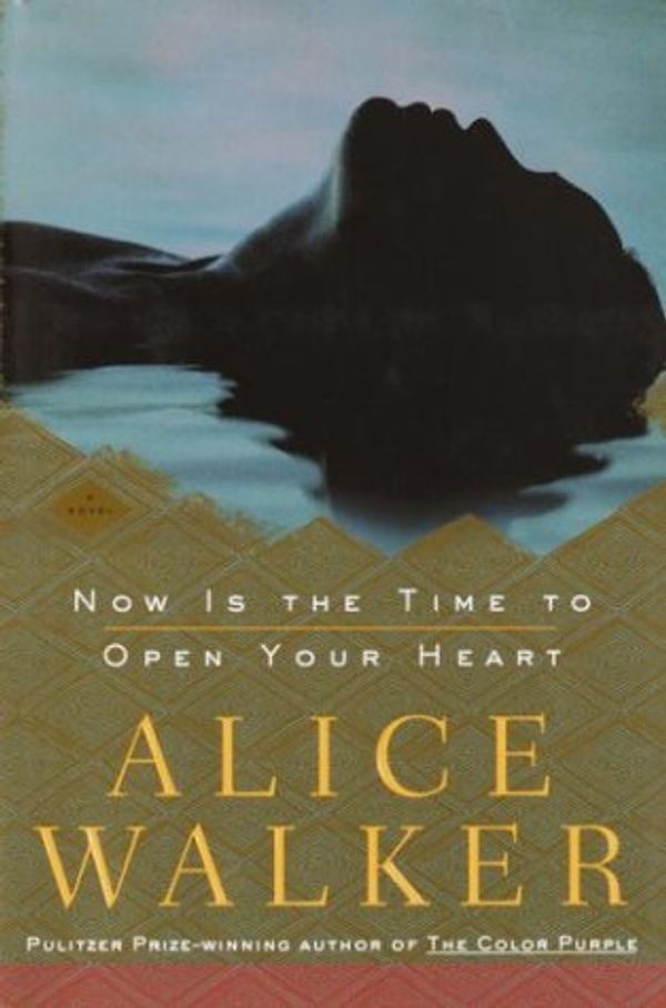 Now Is the Time to Open Your Heart Book Cover