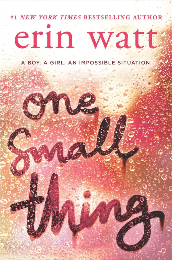 One Small Thing Book Cover