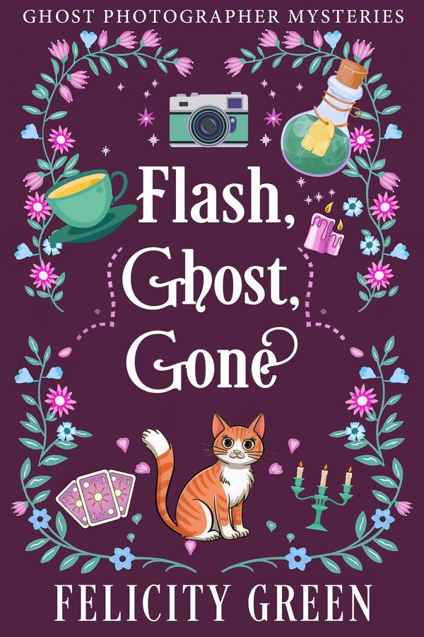 Flash, Ghost, Gone cover