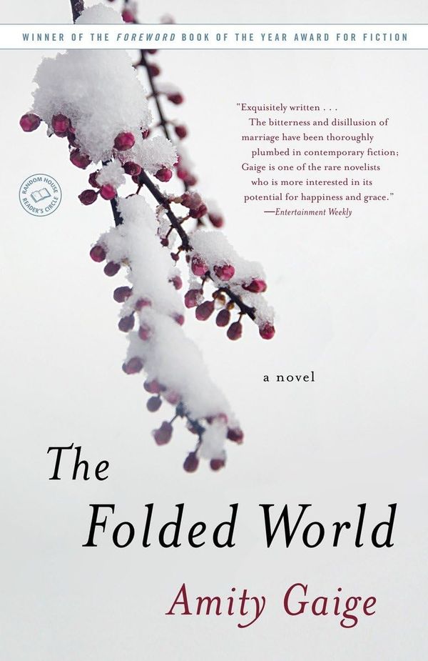 The Folded World Book Cover