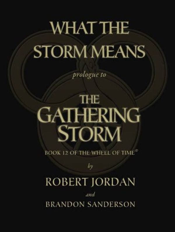 What the Storm Means Book Cover
