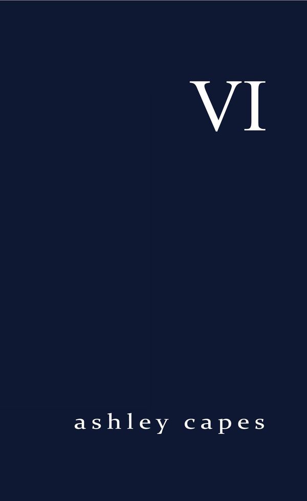 VI Book Cover