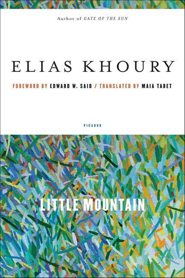 Little Mountain Book Cover
