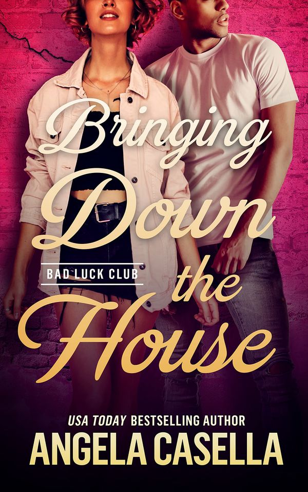 Bringing Down the House Book Cover