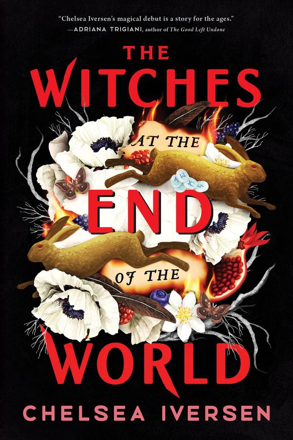 The Witches at the End of the World Book Cover