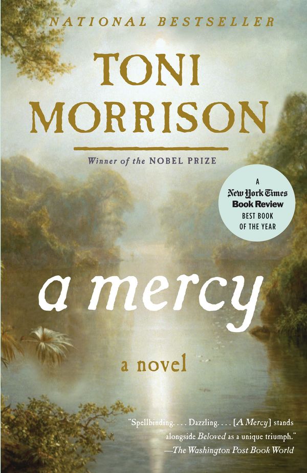 A Mercy Book Cover