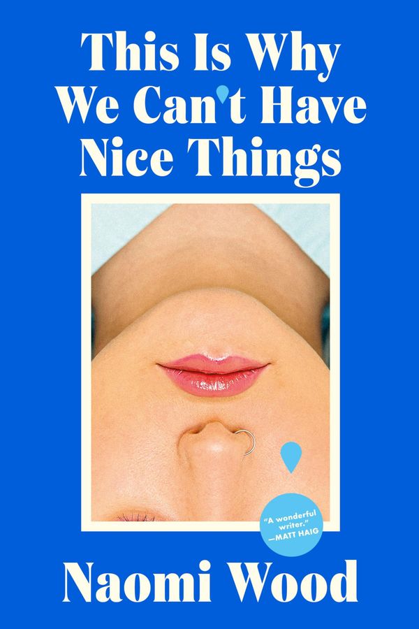 This Is Why We Can't Have Nice Things Book Cover
