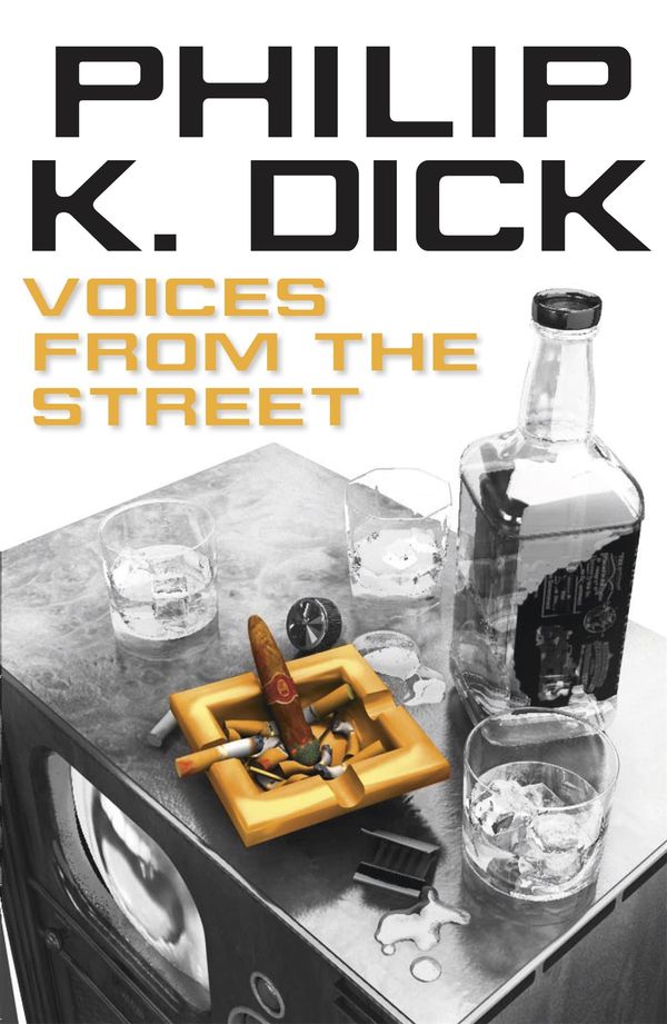 Voices from the Street Book Cover