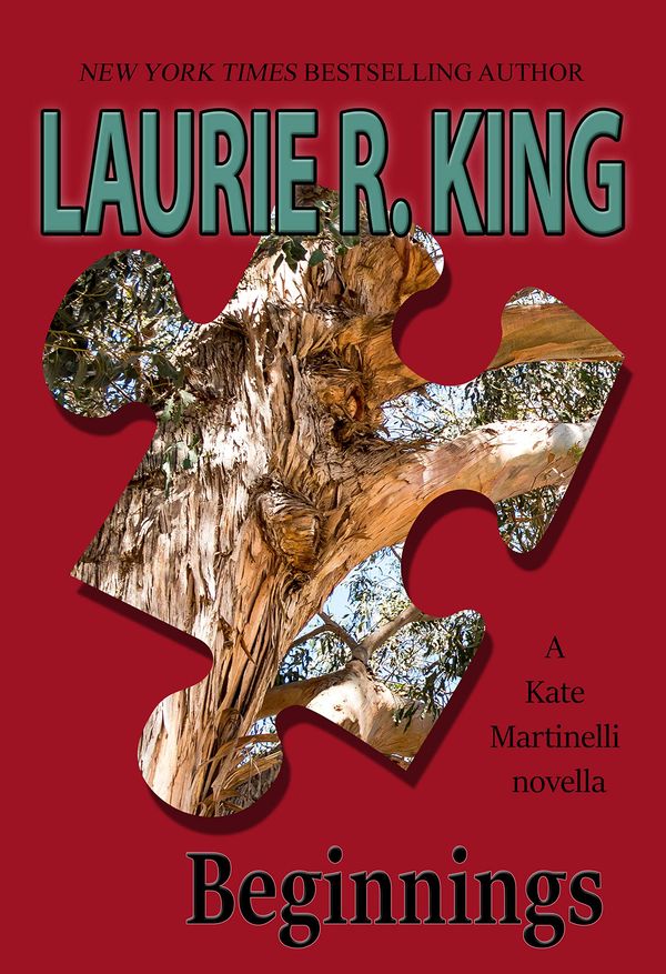 Beginnings Book Cover