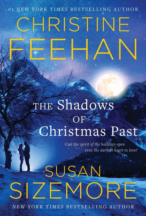 The Shadows of Christmas Past Book Cover