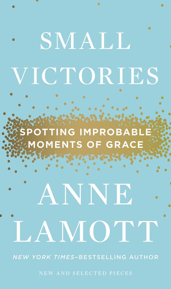 Small Victories Book Cover