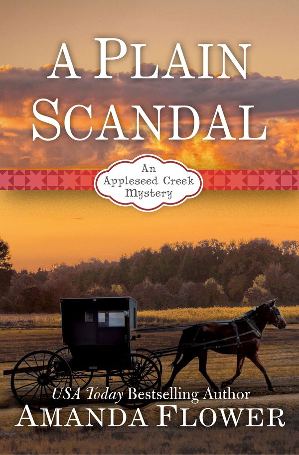 A Plain Scandal cover
